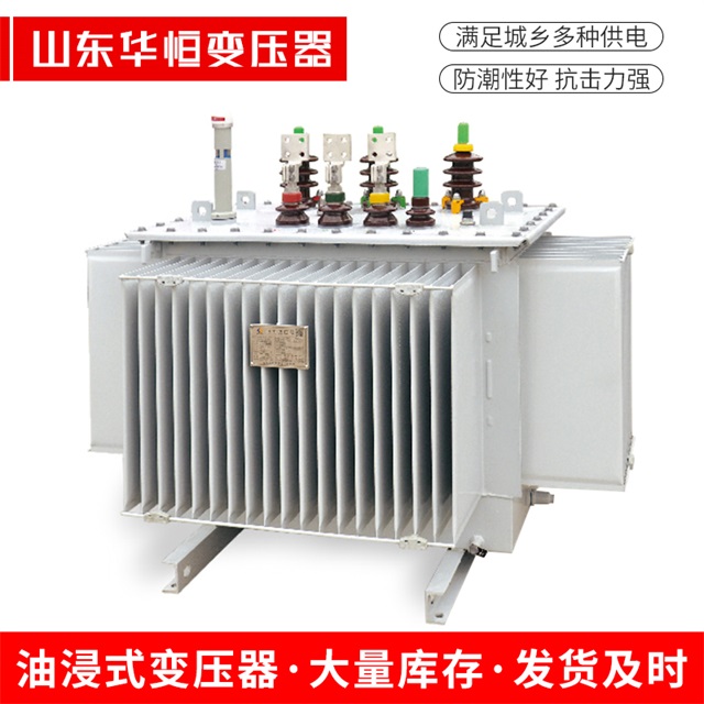 S13-10000/35绥江绥江绥江电力变压器